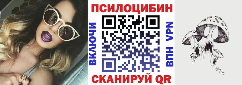 Псилоцибиновые грибы Psilocybe  Новоаннинский 