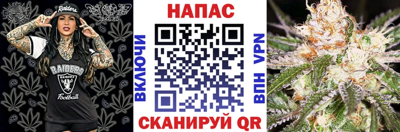 Шишки марихуана сатива Новоаннинский